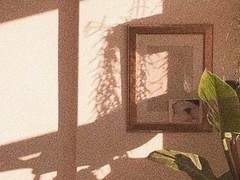 𝑺𝒕𝒆𝒘𝒂𝒓𝒕𝒔