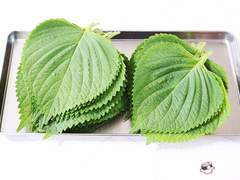 도리벤 캐들 깻잎논쟁 반응