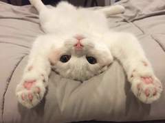 선여주 엔시티 새멤버가 되다..!!!