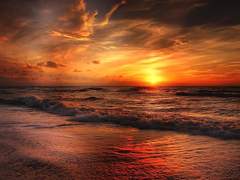 코하네 리카 / 24