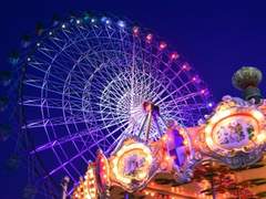 수선화와 자주색 양귀비