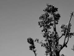 네가 원하는 것