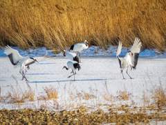 모모 할머니의 병실