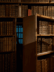 오타쿠는 비설이 궁금해!