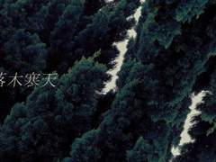 [샹치웬우] 落木寒天 낙목한천 上