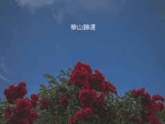 [화산귀환] 차라리 나를 죽여라 10