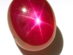 스카디 루비엔 아스텔/xy/스타 루비/모델과