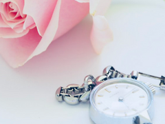 [글 / 모노] 라비