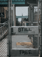 자유를 위한 전투,베탈리에