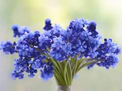 ゆうと りょうた_유우토 료타_19_XY