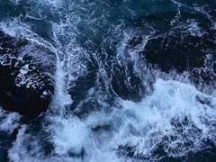 아네가코지 신고