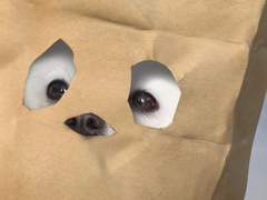 엔시티노딱추천_19