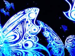 {도리벤 드림} 스토커 린도 X 위기인지능력 상실한 드림주 외전