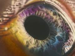 커뮤니티: 시즌 n