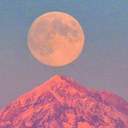 평범하게는 죽지 마 바다를 기억해야지