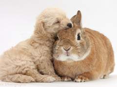 커플은 도서관 출입 금지