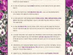 팀 플래터 개인 라이센스