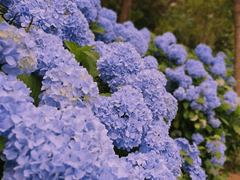 연애 초에 이런 적 있을 거 같아서