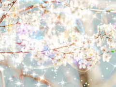 stage.1 아빠들에게말하지 못하는비밀!