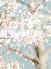 미수반X다섯아빠