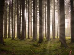 프로젝트 드림캐쳐