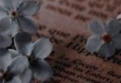 다시 과거로 돌아간다고 하더라도 上