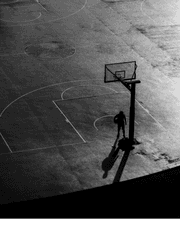 그 코트에 내자리는 없었다. 설정모음집