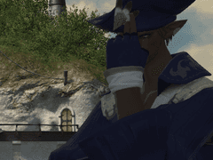 실리에 밝은 해적