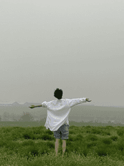 꿈과 현실의 반비례