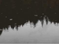 비가 왔다. 그리고 너도 왔다.