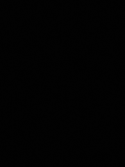 사르가소 원더랜드