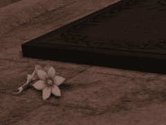 에어크햄에게 바친다