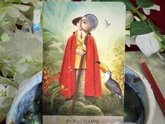 이번 주의 카드: Page of Wands