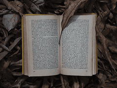 단 하나의 경전