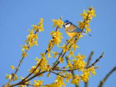 (닌자고)실수라는 건 실패라기보단 성장해나가는 과정이야