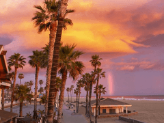 모에르 마피아 2