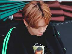 포도밭에서 생긴 일 4