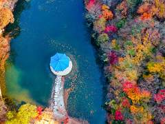 너는 가을을 닮은 것 같아.