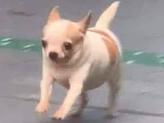 쓰레기 꼬이는 유형 - 입 무거운 여자