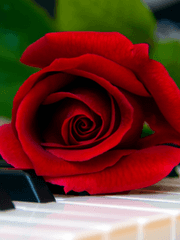 피아노 치는 여자