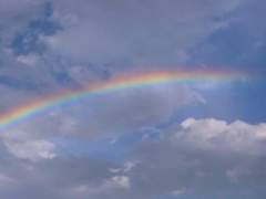 떠나길 바라는 마음