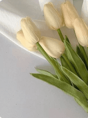 괜찮겠어? 난 멈추는 법을 모르는 햄찌인데