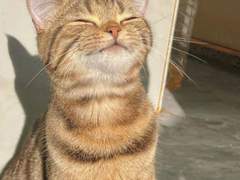 둘 중에 하나만 골라