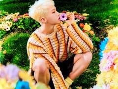 청춘이 사라지다 . 00