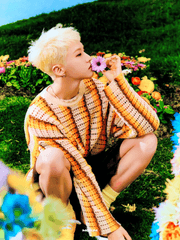 청춘이 사라지다