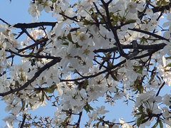 2세 달래는 부부 썰