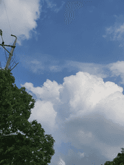 [마도조사/진정령] 마도고등학교 2학년 1반 관찰 보고서