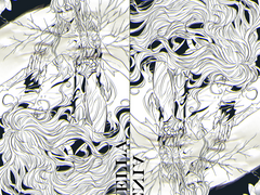 [엘든링] 다프네