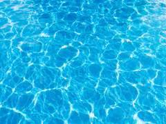 오필리아 덴 릴에게