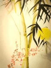 대나무 숲속 매화